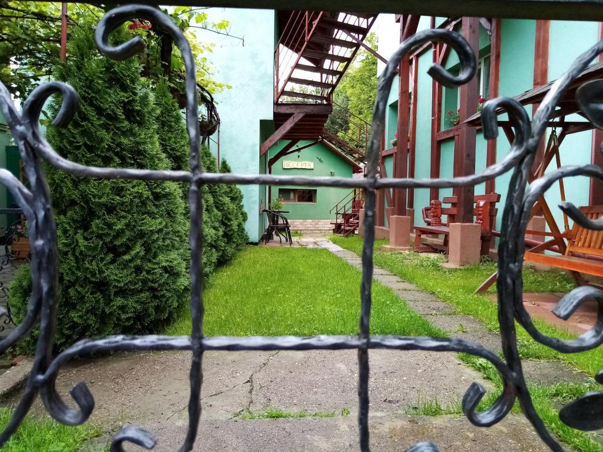Pensiunea Verde バイア・スプリエ エクステリア 写真